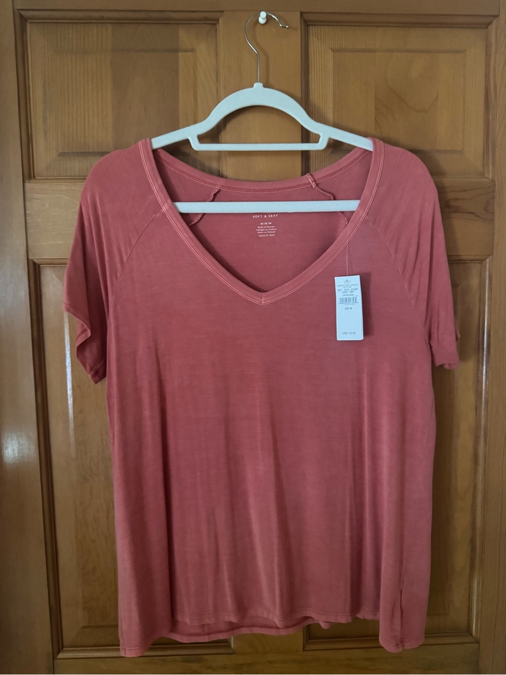 American Eagle Soft & Sexy V-Neck Tee